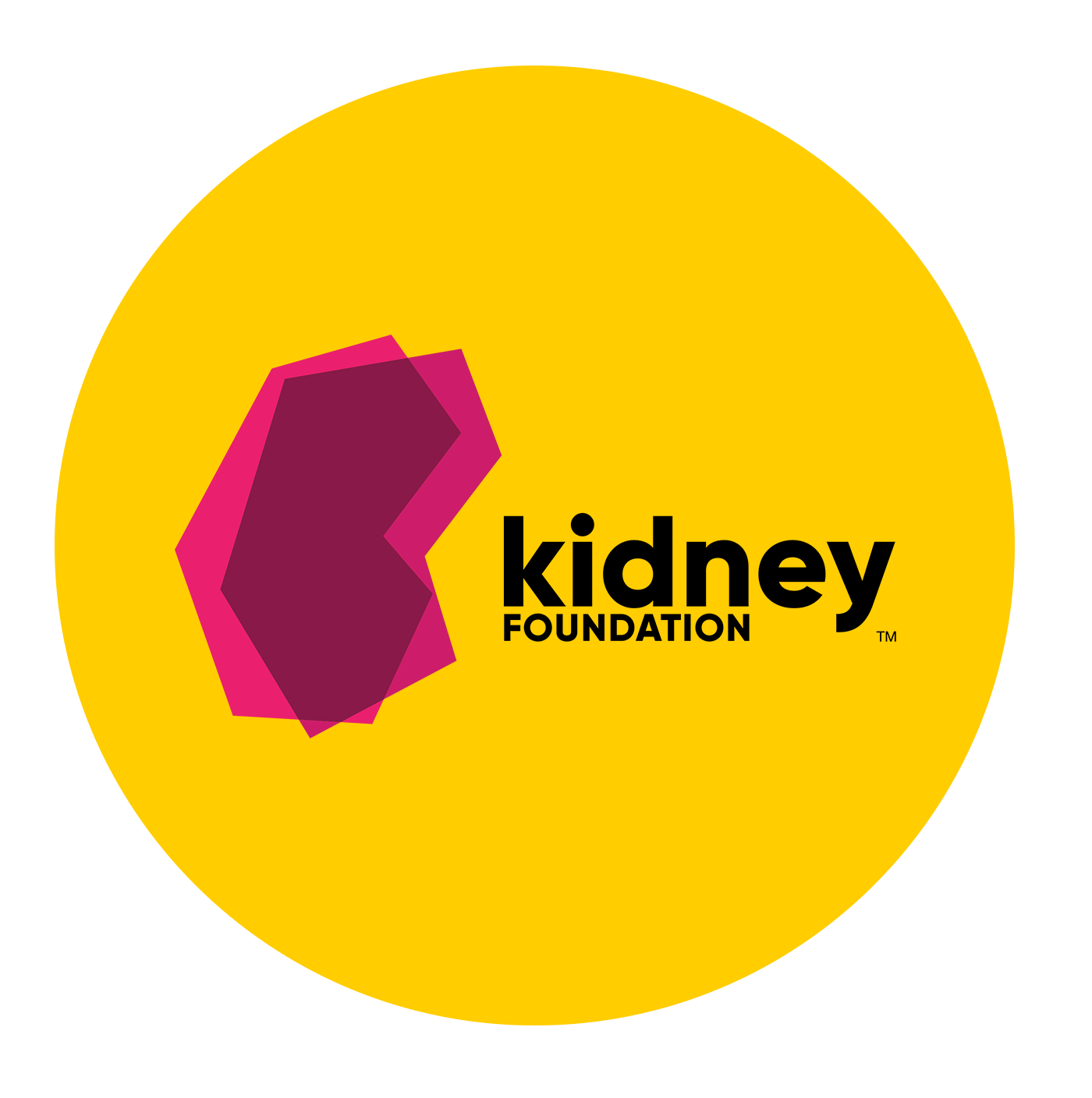 Kidney Foundation case study