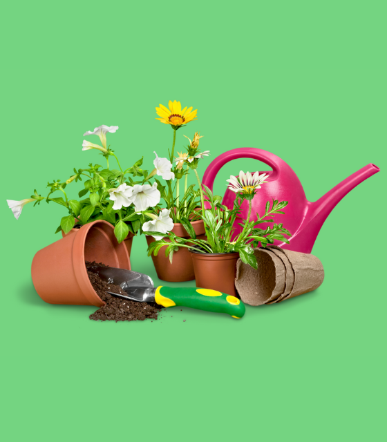 https://illumin.com/wp-content/uploads/2025/05/Home-and-garden-1.png